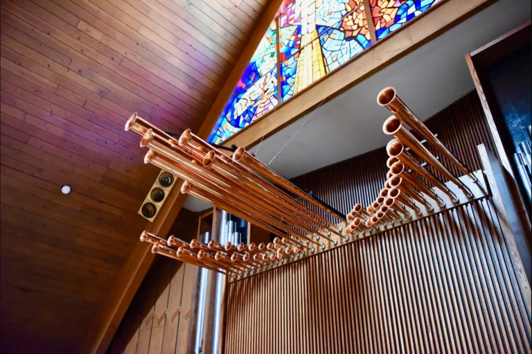 organ pipes